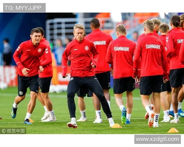 丹麦与秘鲁比赛技术统计分析全面解读与数据对比